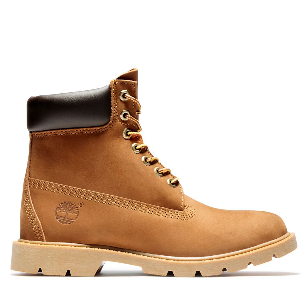 Botas de Nieve Timberland Argentina Hombre - 6-Inch Basic Waterproof W/Padded Collar - Marrones - LE